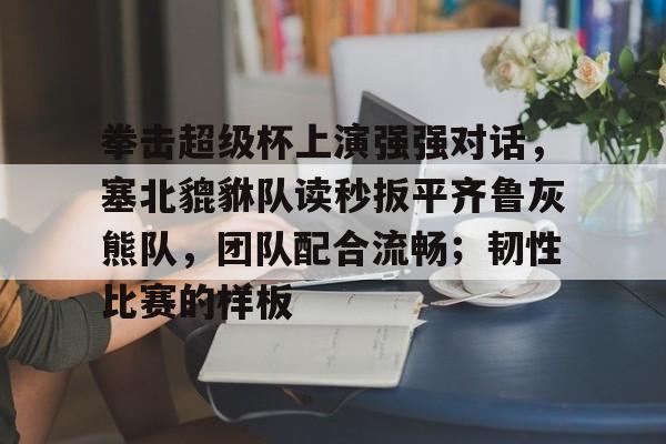  超级拳击锦标赛 
