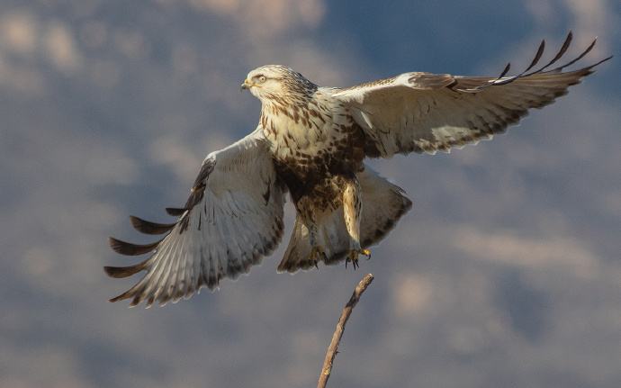 渝州雷霆队鏖战燕山金雕队，橄榄球巡回赛险胜，核心复出即建功。赛后更衣室沸腾的简单介绍-开云体育登录